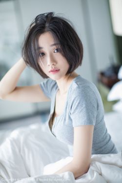 日本三线和韩国三线品牌对比